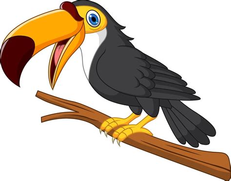 Cartoon Toucan Bird On Tree Branch 5162124 Vector Art At Vecteezy