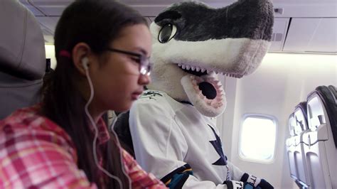 Sharks On A Plane Youtube
