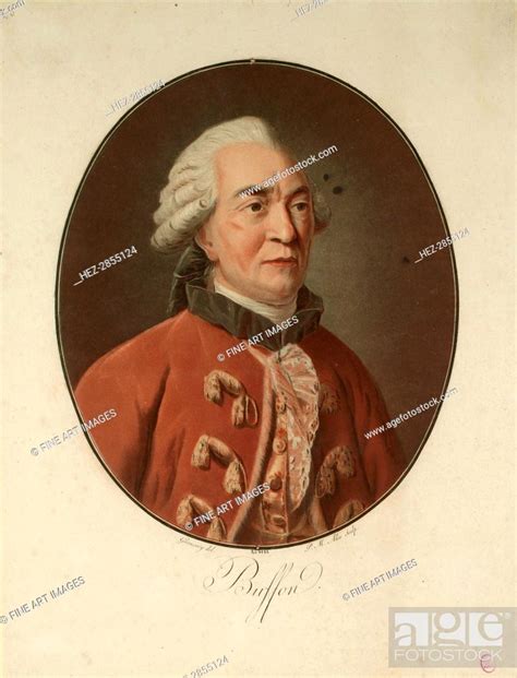 Portrait Of The Naturalist Georges Louis Leclerc Comte De Buffon 1707