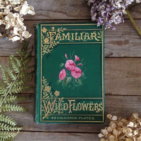 Antique Wildflowers Vintage Book 1883 Watercolour Artist Etsy Uk