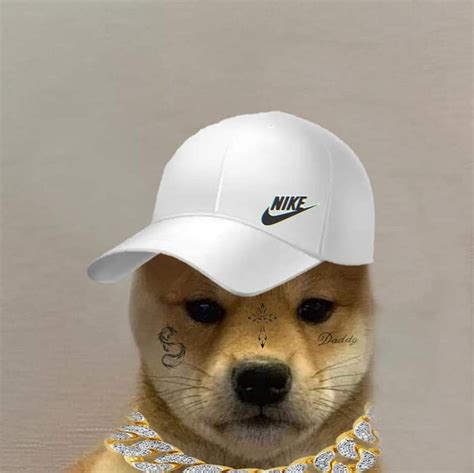 Pin By Mr Kizz On Only Doge Famous Dogs Dog Icon Dog Images