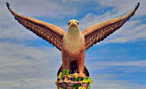Eagle Of Langkawi By Phoenix Soar On Deviantart