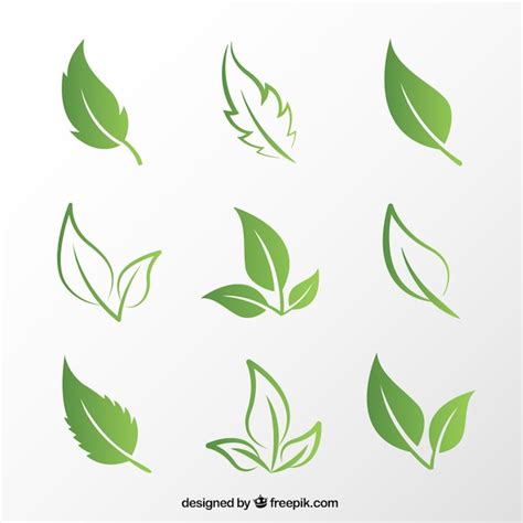 Free Vector Green Leaves