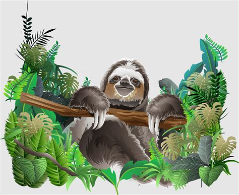 Big Leaves Tropical Jungle Farm Animals Sloth Character Animation