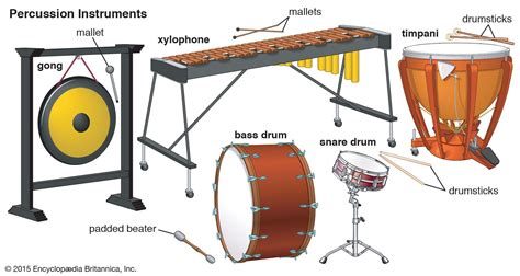 Percussion Instrument Musical Instrument Britannica