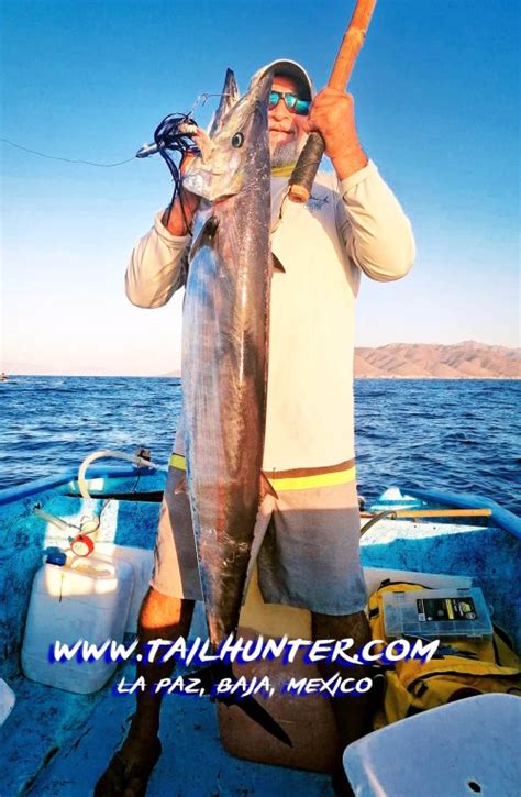 La Paz Fishing Report From Tailhunter Sportfishing For Week Of Oct 3 9