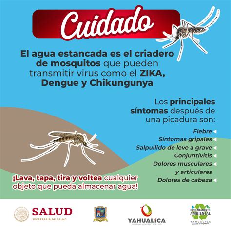 Prevenir El Dengue Zika Y Chikungunya Yahualica 2021 2024