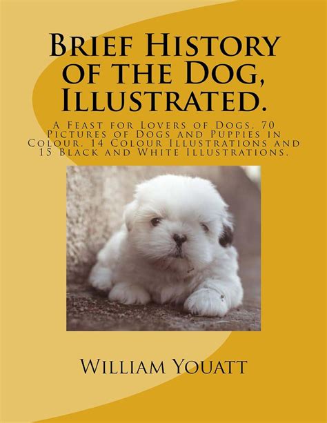 Brief History Of The Dog Illustrated A Feast For Lovers Of Dogs 70