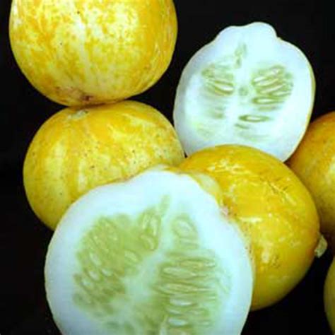 Organic Lemon Cucumber Seeds 1 G ~30 Seeds Organic Heirloom Open