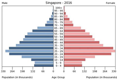 Singapore Age Structure Demographics