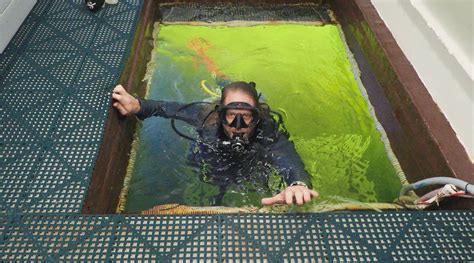 Scientists Aims To Spend 100 Days In Florida Keys Undersea Lab Miami