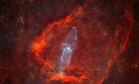 Nebulosa Del Murci Lago Volador Portalastronomico Com