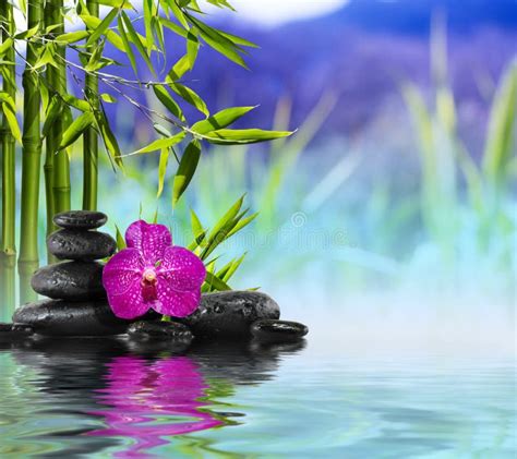 Purple Orchid Stones And Bamboo On The Water Stock Photo Image Of