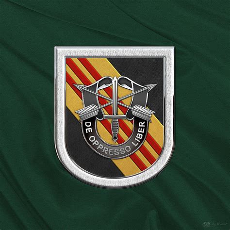 Green Beret Emblem