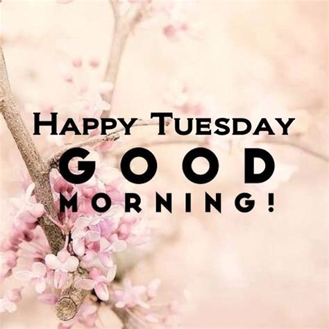 Happy Tuesday Good Morning Pictures Photos And Images For Facebook