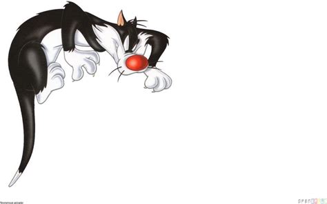 Free Download Sylvester The Cat Wallpaper 12312 Open Walls 1680x1050