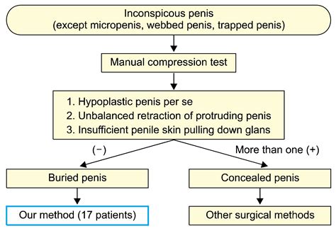 Simple Anchoring Of The Penopubic Skin To The Prepubic Deep Fascia In Surgical Correction Of