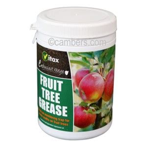 Using fruit tree grease against winter moths Vitax Fruit Tree Grease 200g | Cambers Country Store
