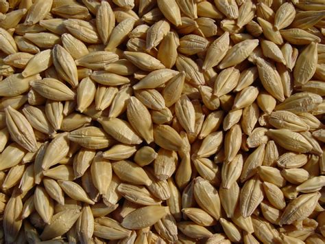 Josephs Grainery How To Cook Barley