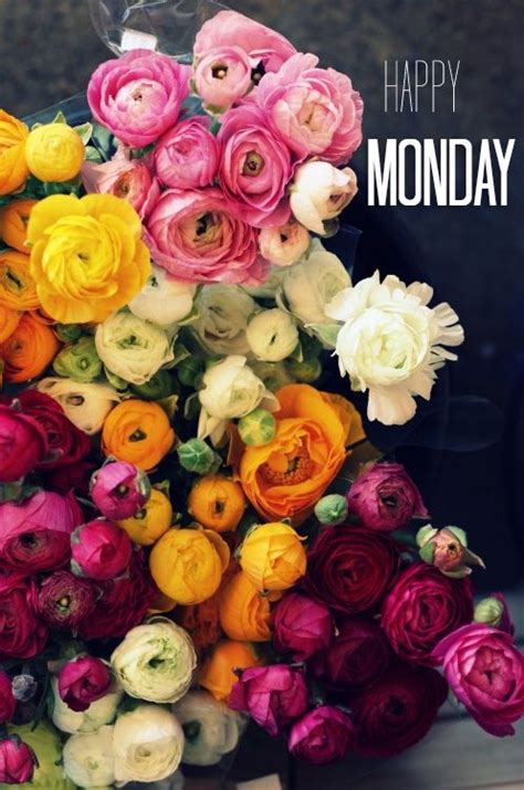 New good morning monday images pictures photo wallpaper pics free hd download for whatsaap. Happy Monday! - Berta Lippert