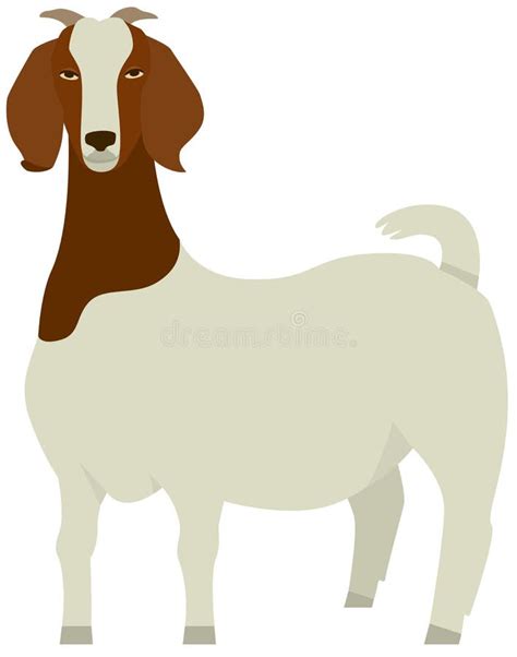 Boer Goats Clip Art