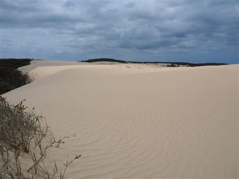 Wetlands And Sand Dunes Guided Walk Nsw Holidays And Accommodation