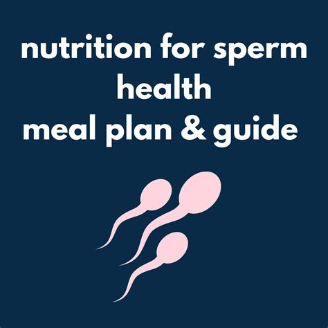 Sperm Health Guide And Meal Plan