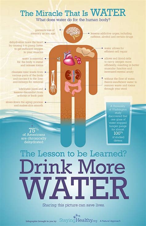 Health Benefits Of Water And Proper Hydration