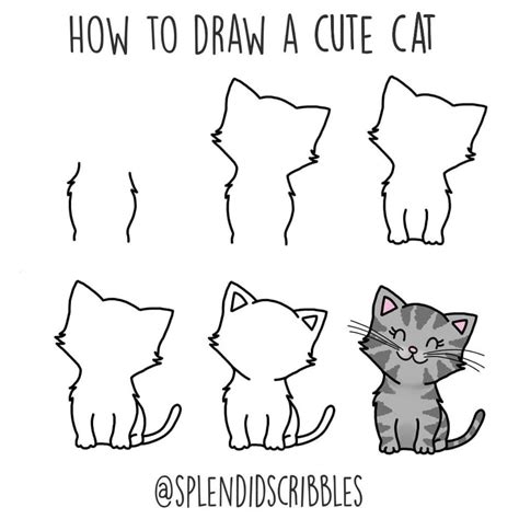 7 easy ways to draw a cat step by step tutorial the smart wander cat drawing tutorial cat