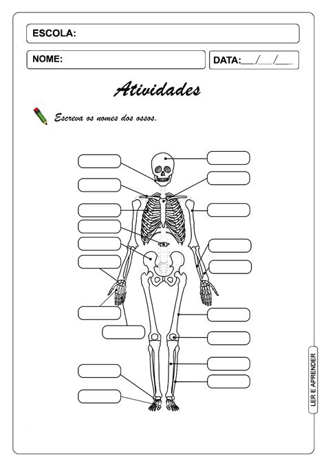Atividades Sobre Esqueleto Humano Para Imprimir Em Corpo My Xxx Hot Girl