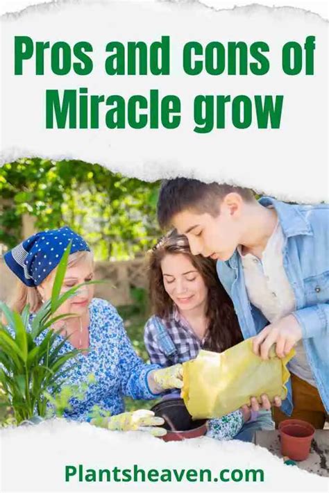 Pros And Cons Of Miracle Grow And Everything You Must Know Plants