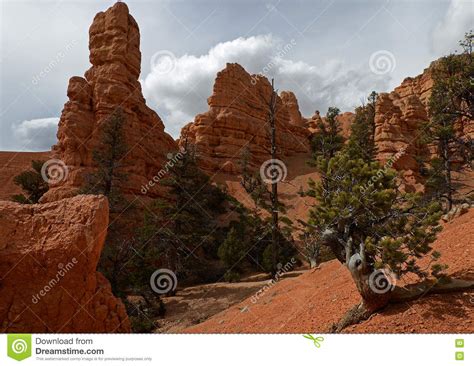 Red Canyon Utah Usa Stock Photo Image Of Journey Landmark 79530290