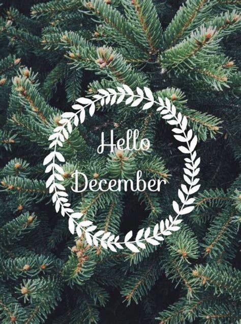 Hello December Hello December Christmas Aesthetic Christmas Images