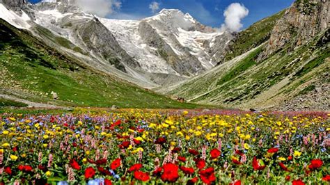 The Heavenly Hemkund Valley Valley Of Flowers In The Garhwal