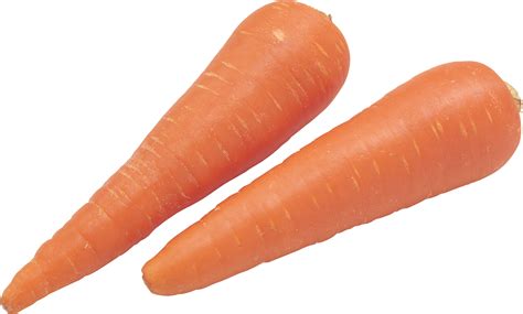 Carrot Png Image Purepng Free Transparent Cc0 Png Image Library