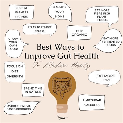 5 Ways To Improve Gut Health To Reduce Anxiety Meg De Jong Nutrition