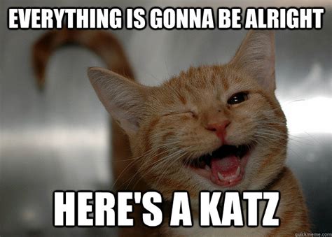Cheer Up Cat Meme Photos Cantik