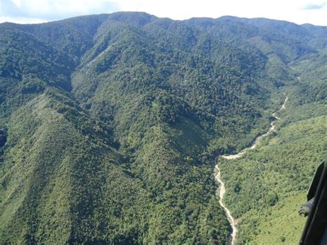 Reserva Forestal Protectora Del Río Las Ceibas De Neiva Se Convierte En
