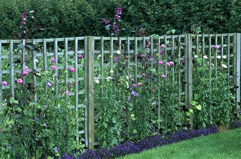 These 10 piece metal planter box set with trellis are a great choice for both residential and commercial landscape design. Design ideas to suit long, narrow gardens | Trellis fence ...