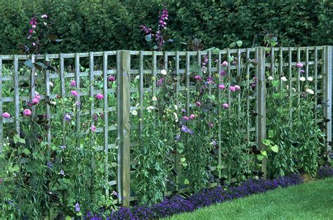 These 10 piece metal planter box set with trellis are a great choice for both residential and commercial landscape design. Design ideas to suit long, narrow gardens | Trellis fence ...