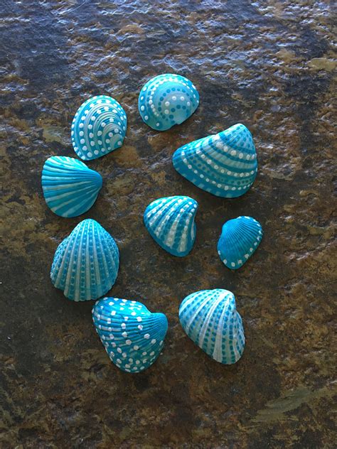 Painted Seashells Craftideaorg Painted Shells Sea Shells