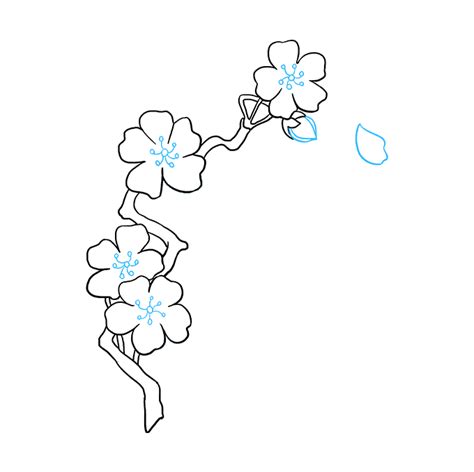 How To Draw Cherry Blossoms Really Easy Drawing Tutorial