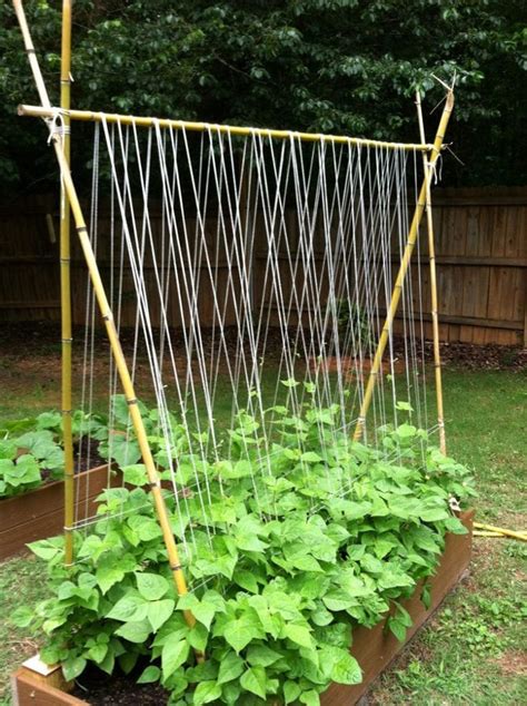 15 Easy Diy Cucumber Trellis Ideas Vegetable Garden Trellis Diy