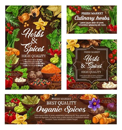 Herbs And Spices Vector Posters Of Stock Vector Colourbox