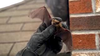 This list will help you pick the right pro exterminator in hartford. 3 Best Pest Control Companies in Hartford, CT - Expert ...