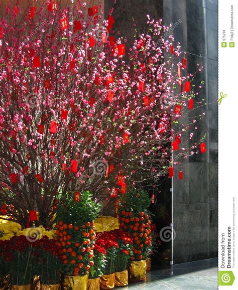 New year trees are decorated trees similar to christmas trees that are displayed to specifically celebrate the new year. Chinese New Year Money Tree 2 Stock Photos - Image: 575233