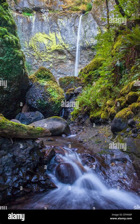 Elowah Falls In The Columbia River Gorge Area Oregon Usa Stock Photo