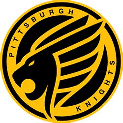 Pittsburgh Knights Players Settings and Gear (August 2021) - Best Settings