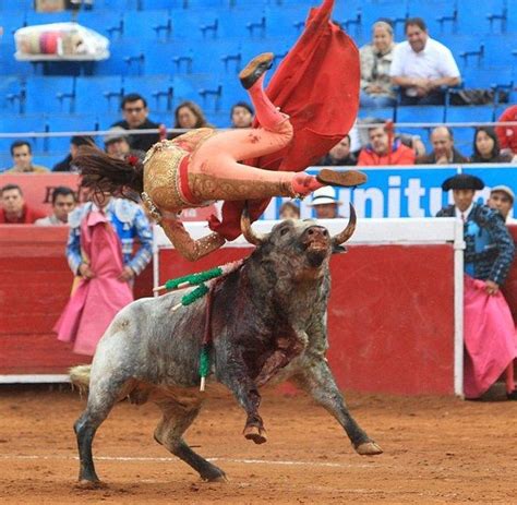Female Bullfighter Gets Gored By Bull Others