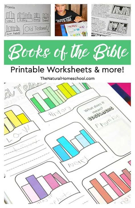 The following are 100% free to download and use in your ministry, ideal for kids church, sunday school, or homeschool bible study for kids. Books of the Bible Printable Worksheets & more | Bible lessons for kids, Bible lessons, Bible ...
